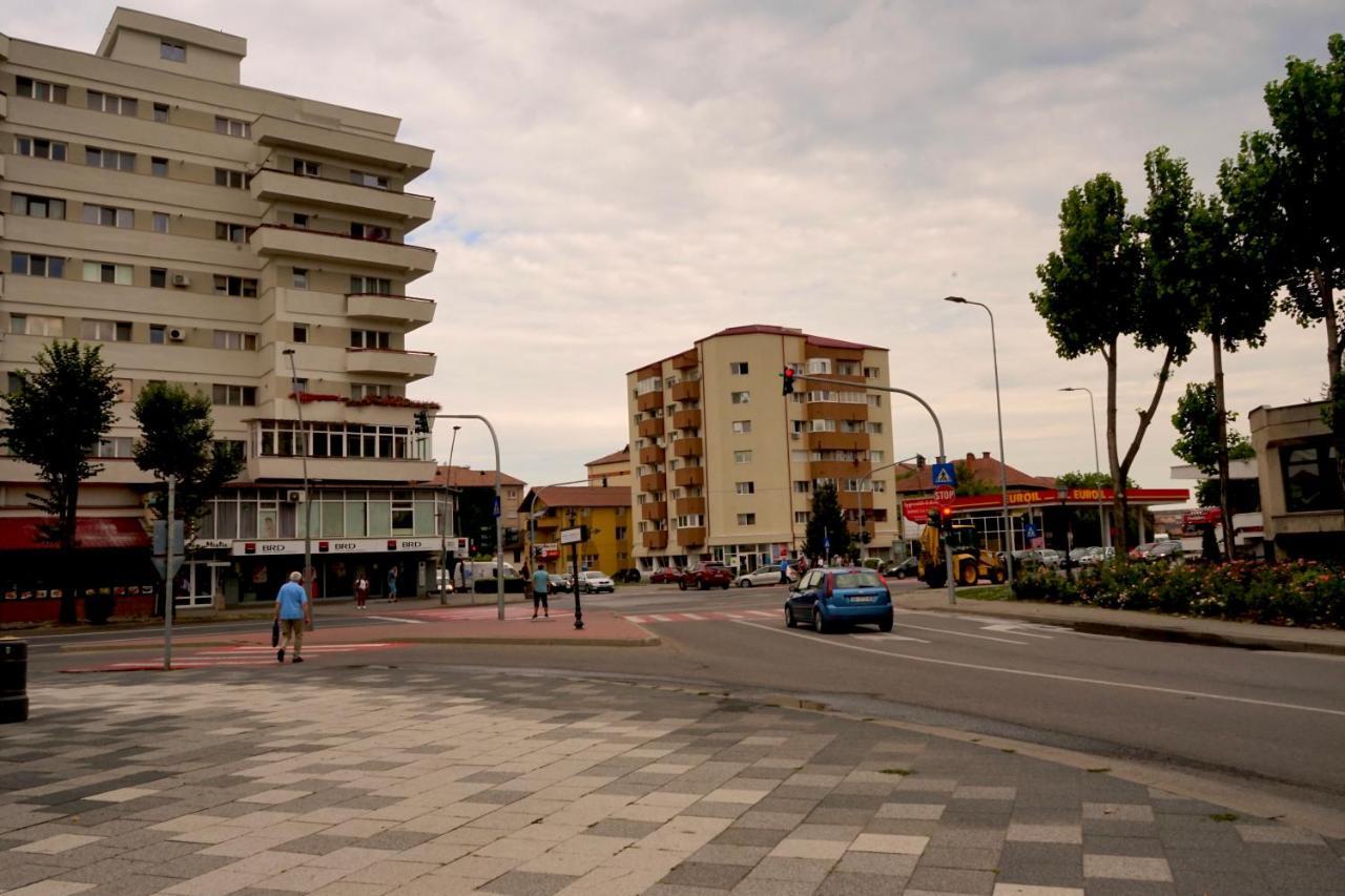 Apartament Viorela Alba Iulia Exterior photo